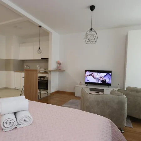 Savada Pink - With Parking And Wifi, Parking 5 Eur Per Day * Belgrade